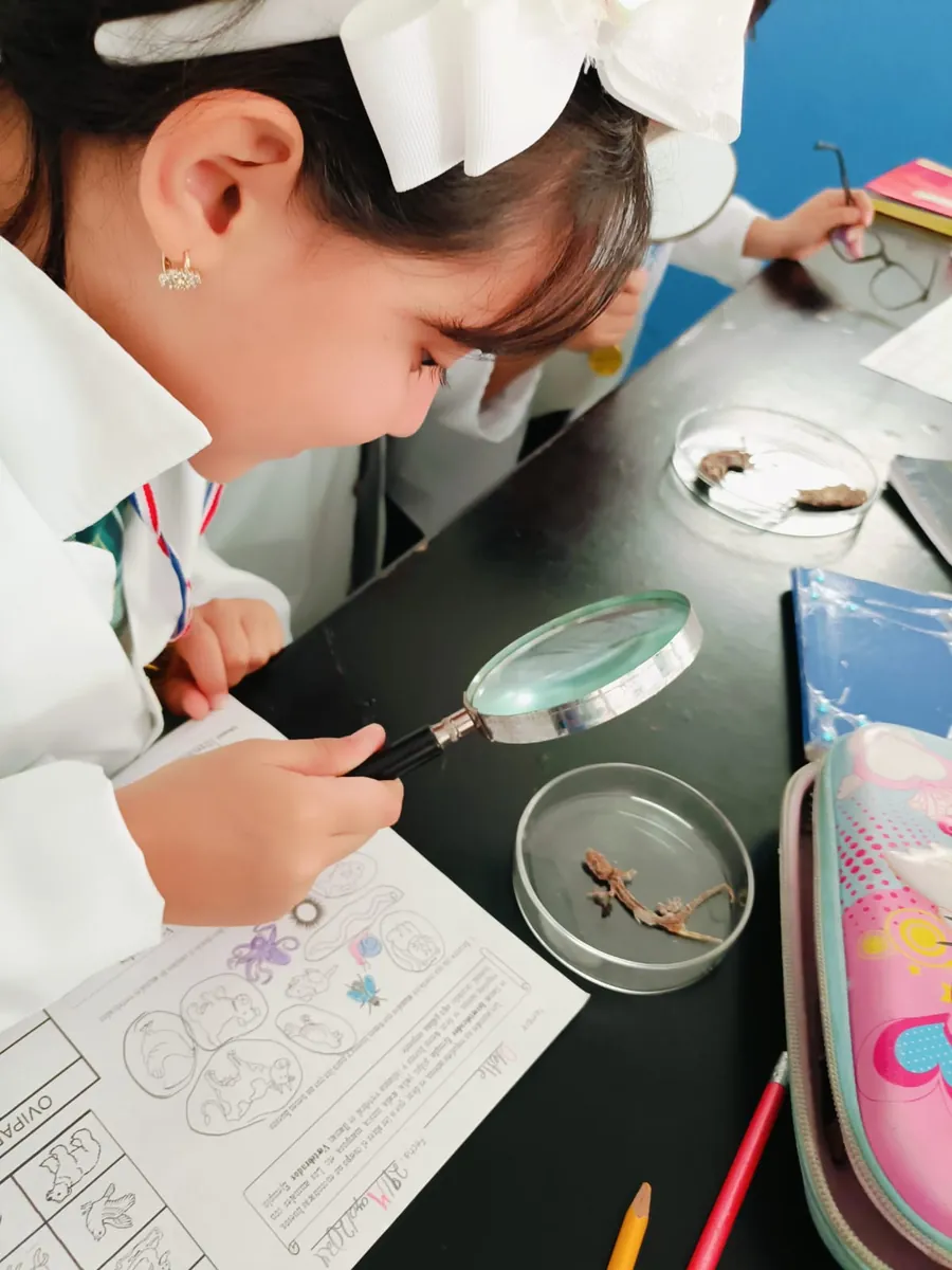 Estudiante de Primaria de Colegio Latino observando una muestra con lupa en un taller de ciencias